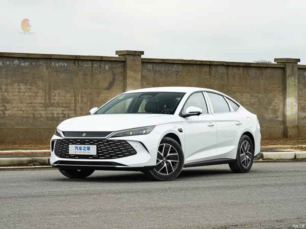 بی وای دی چین ال مدل 2026