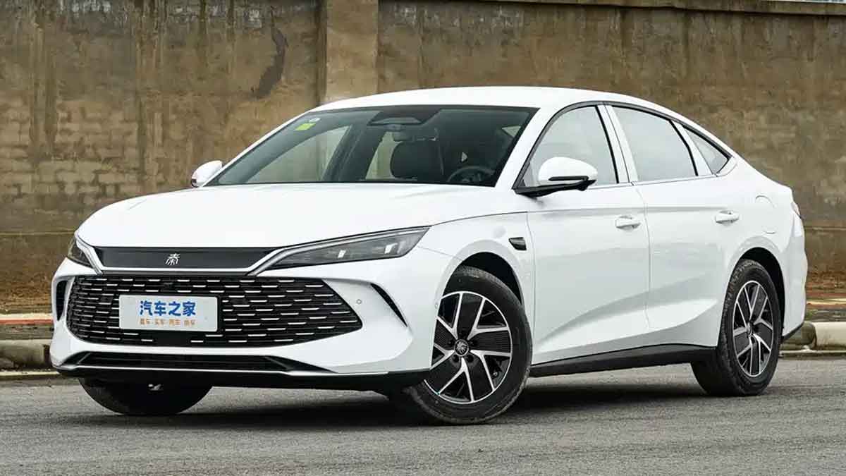 بی وای دی چین ال مدل 2026