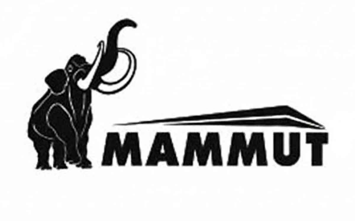 شرایط فروش ماموت خودرو