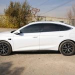 شرایط فروش بی وای دی چین ال تیگارد