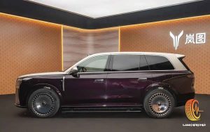 وویا تایشان