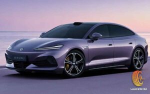 دنزا Z9S